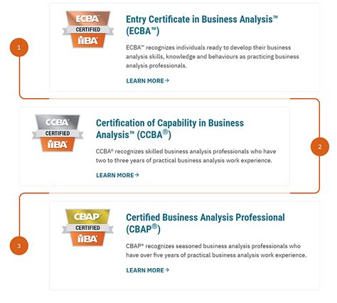 Senior Business Analysis Certification CBAP® .